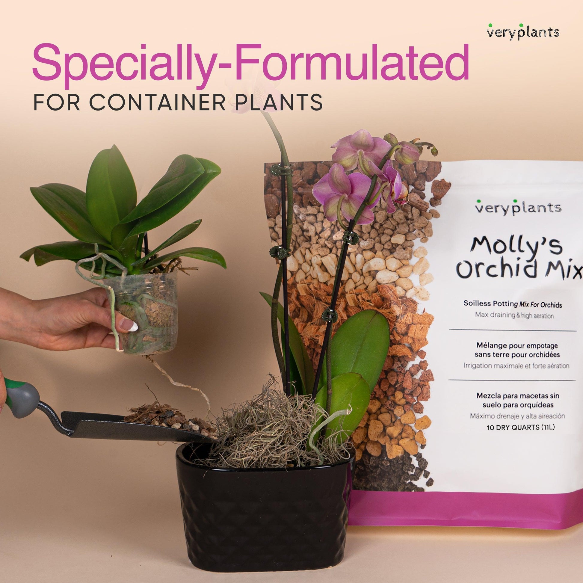 Molly's Orchid Mix - Premium Soilless Orchid Potting Mix - VERYPLANTS