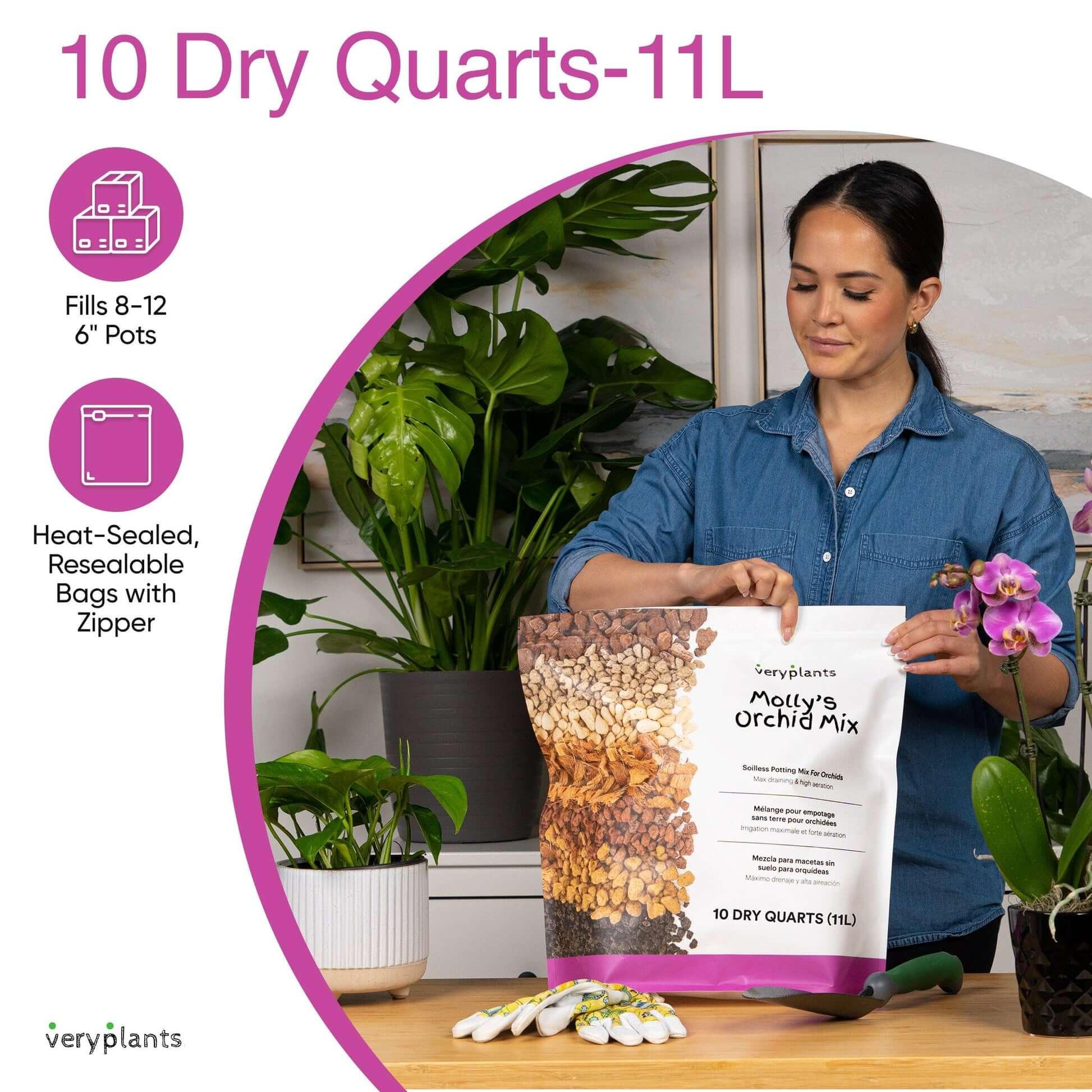Molly's Orchid Mix - Premium Soilless Orchid Potting Mix - VERYPLANTS