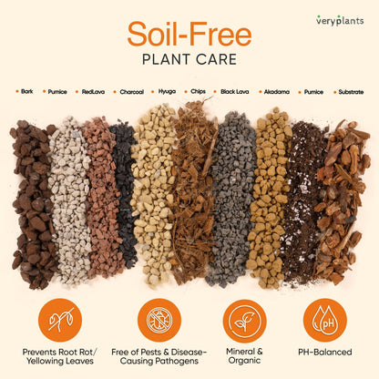 Livraison gratuite perlite/vermiculite pour plantes d'intérieur de jardin,  cactus et succulentes, mélange de sol pour bonsaï un gal. Chaque -   Canada